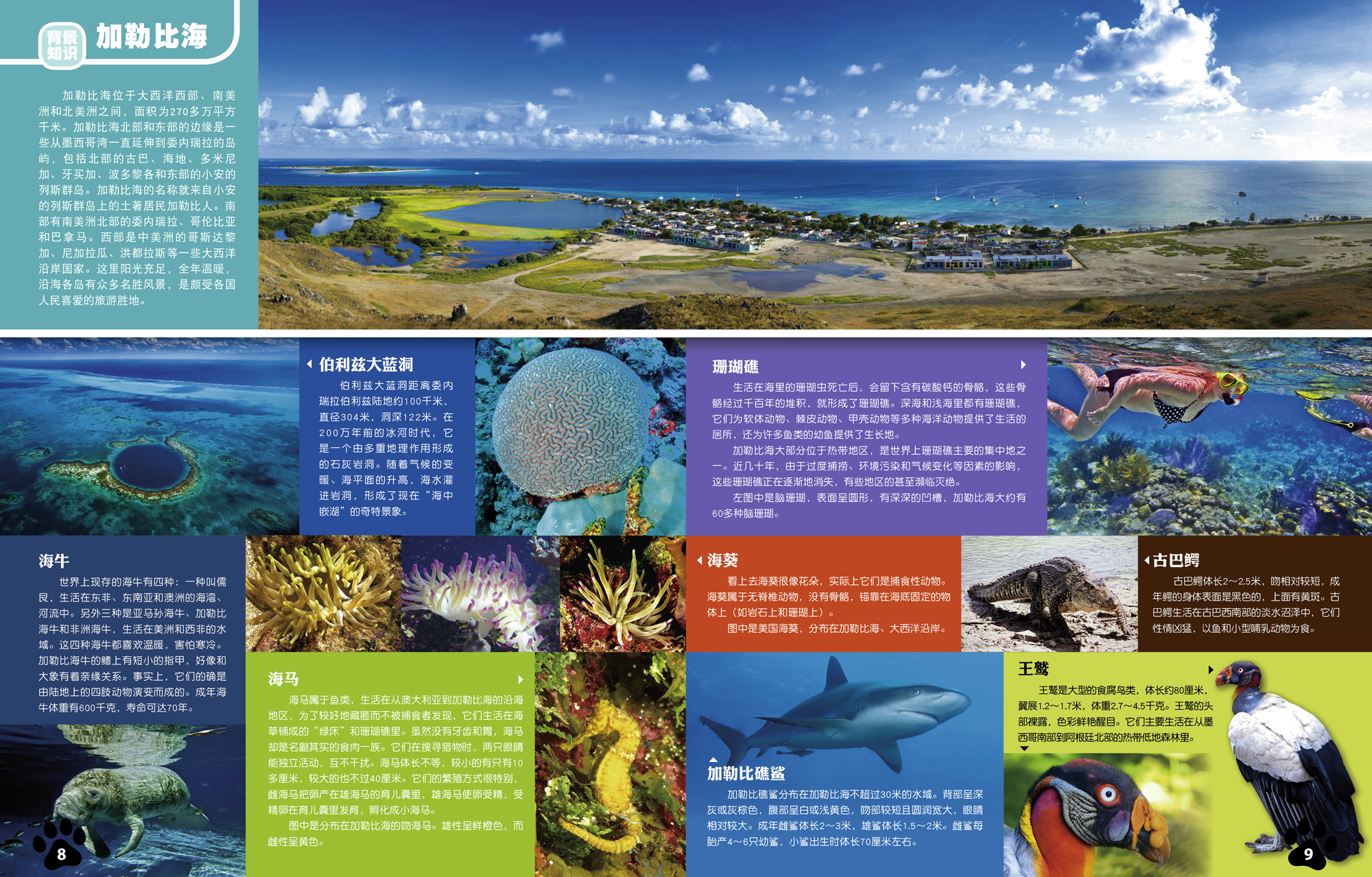 參觀爬行動物館-百科2.jpg